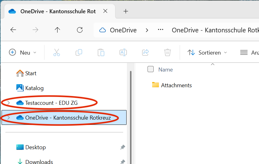 OneDrives im Explorer